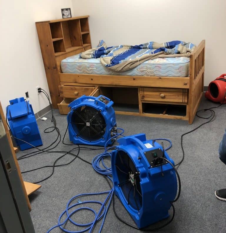 Bed bug heater
